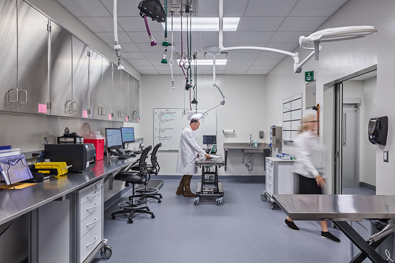 image of Internal Medicine