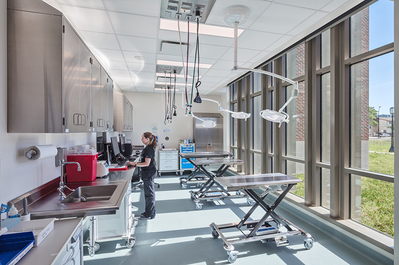 image of Surgery Suites