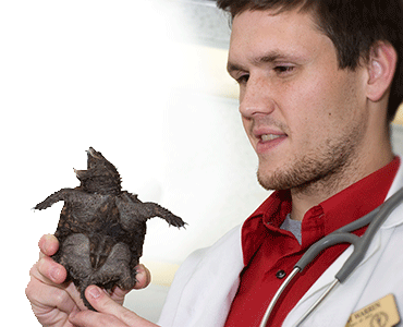 a student holding a turtle