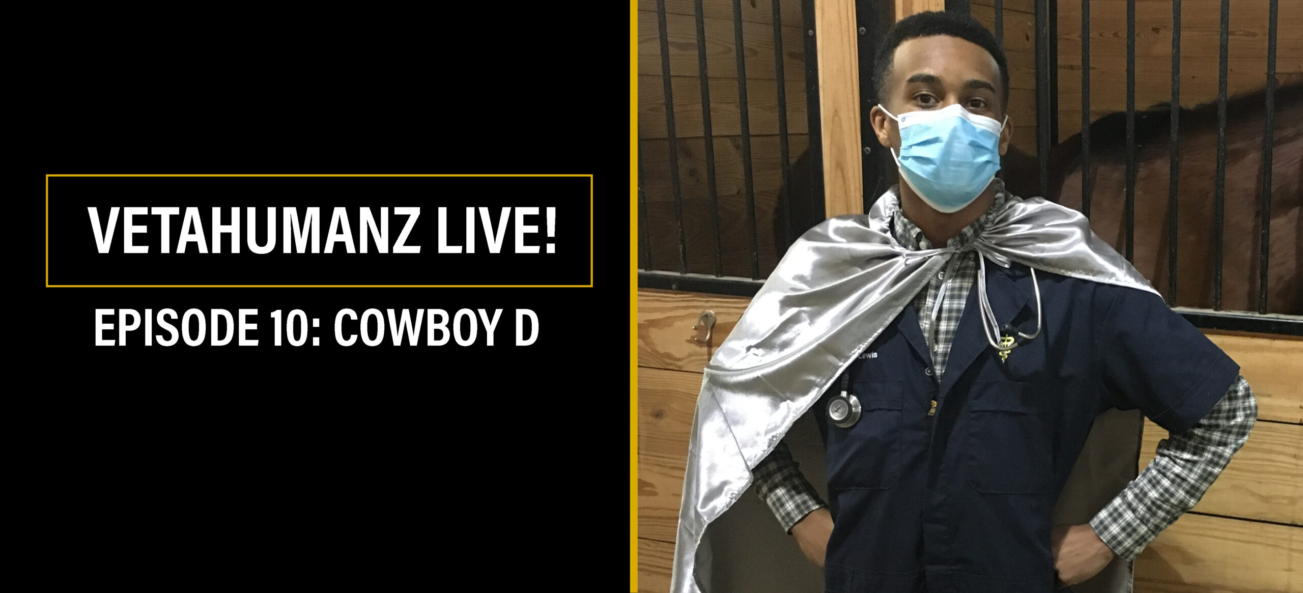 Website Banner Cowboy D Aaron Lewis