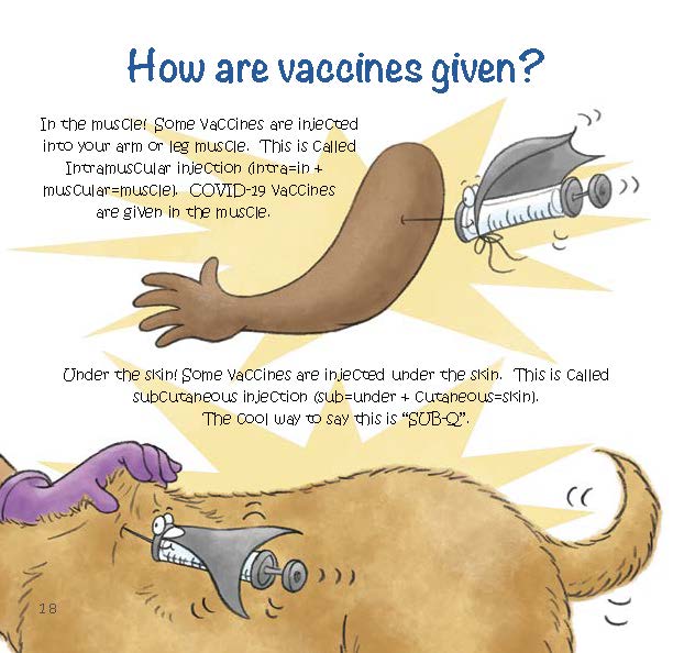 Illustrations show vaccines being given in a muscle or under the skin using different types of injections.