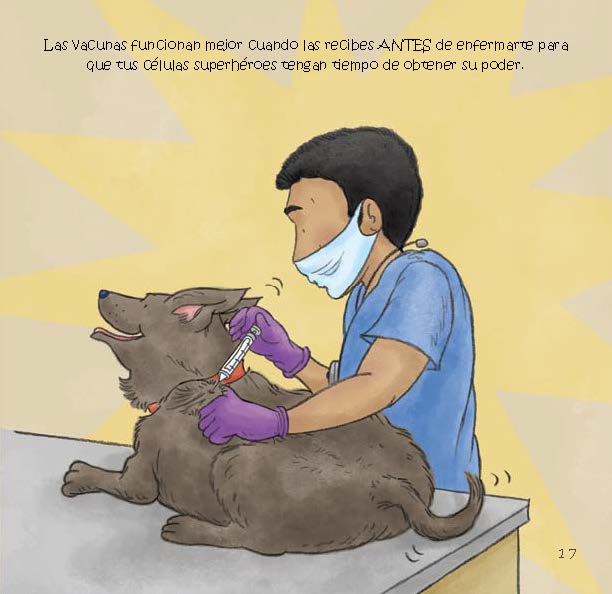 A veterinarian gives a dog a vaccine so its immune system can build protection before it gets sick.