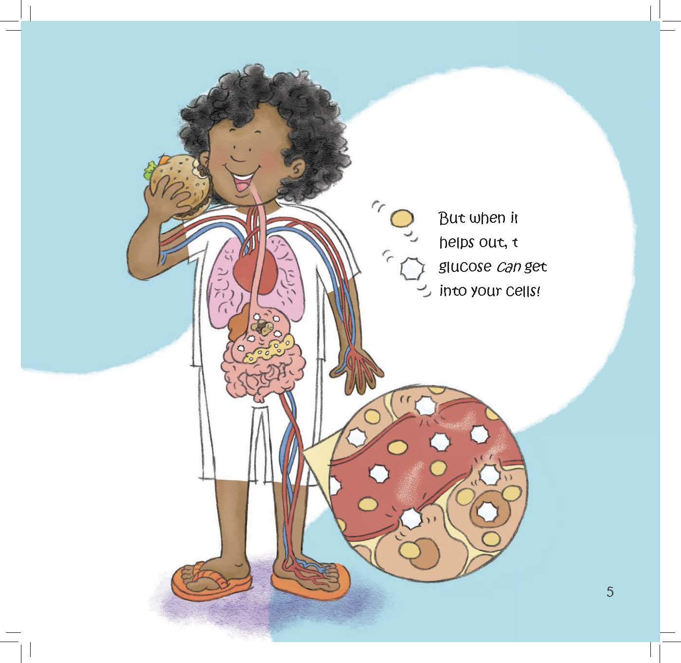 A child’s body diagram shows how insulin allows glucose to enter cells for energy.