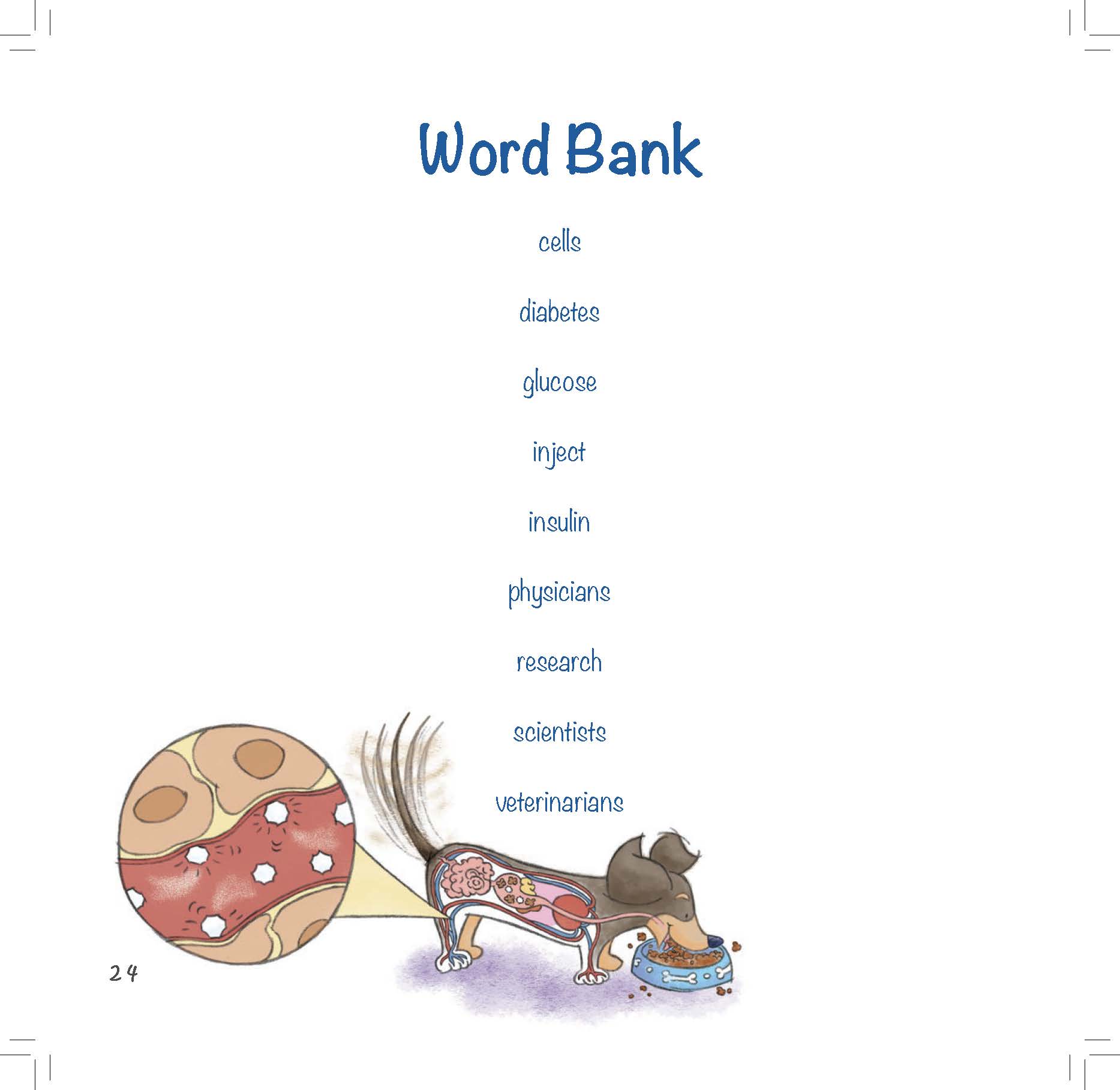 A dachshund with a magnified view of its cells stands beside a vocabulary list of key diabetes terms.