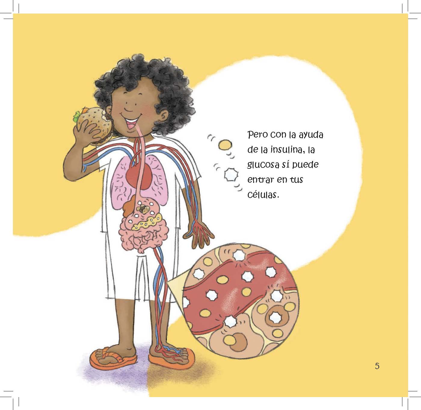 A child’s body diagram shows how insulin allows glucose to enter cells for energy.