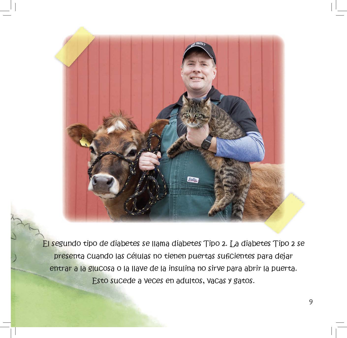 A farmer holds a cat while standing with a cow as text explains how Type 2 diabetes occurs when cells cannot use insulin properly.
