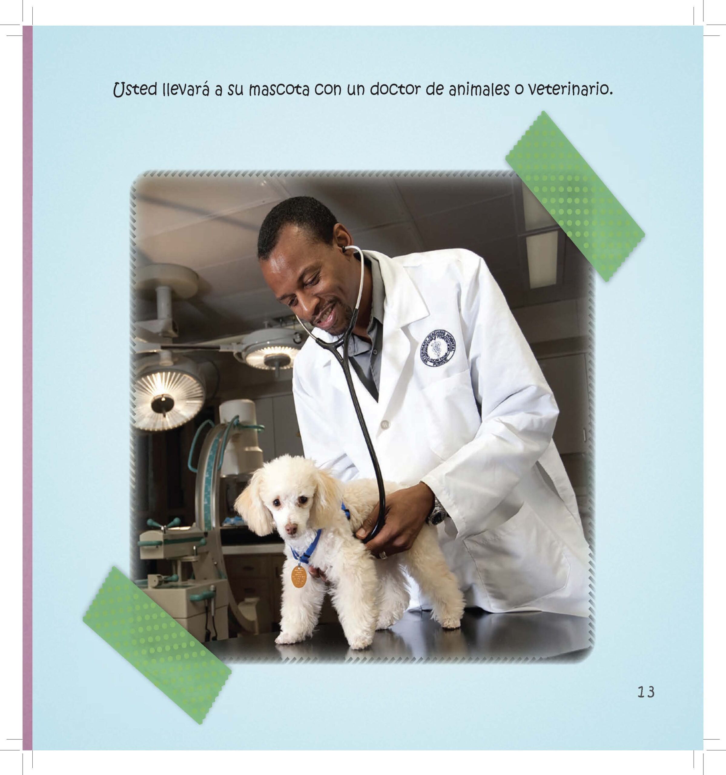 A veterinarian examines a small white dog in a clinic.