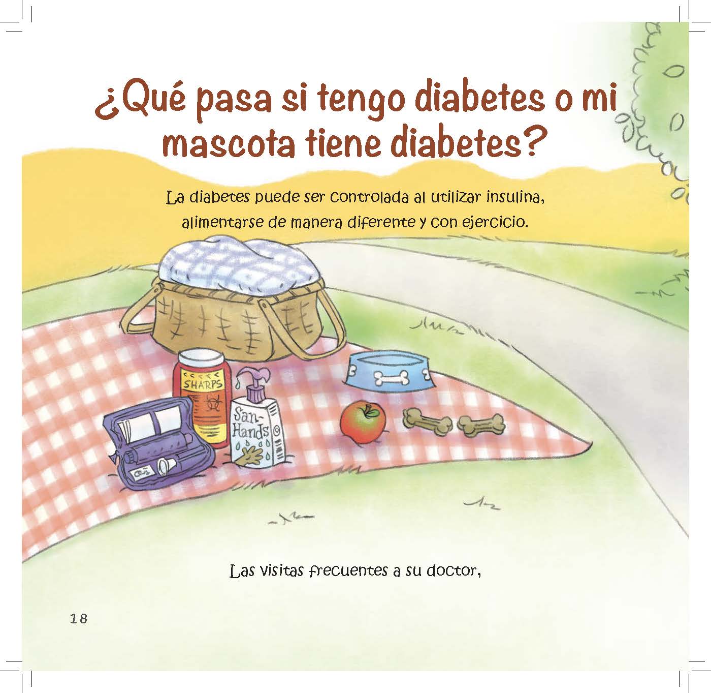A picnic scene shows a glucose meter, medicine supplies, and healthy foods.