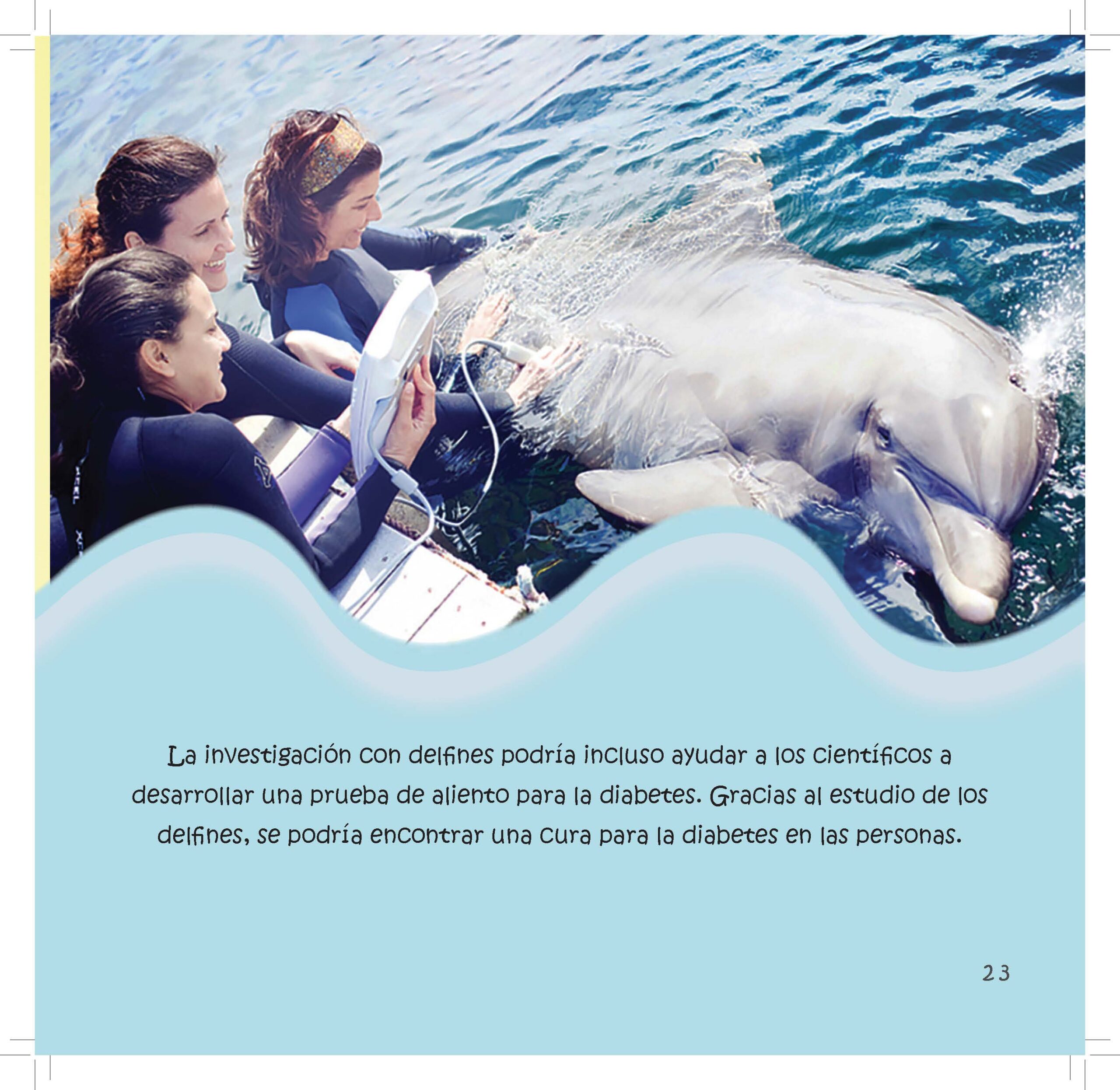 Scientists collect breath samples from a dolphin to study diabetes.