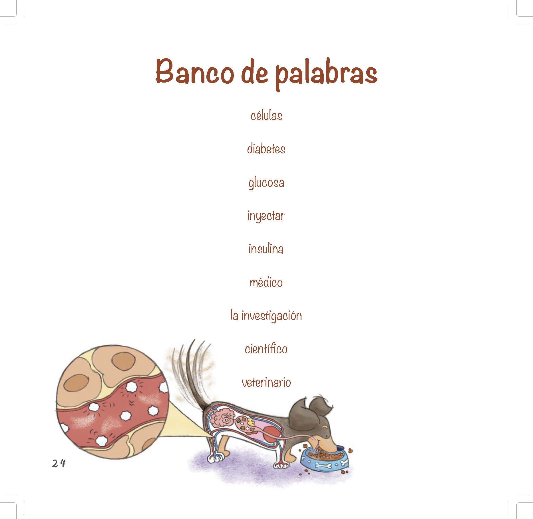 A dachshund with a magnified view of its cells stands beside a vocabulary list of key diabetes terms.