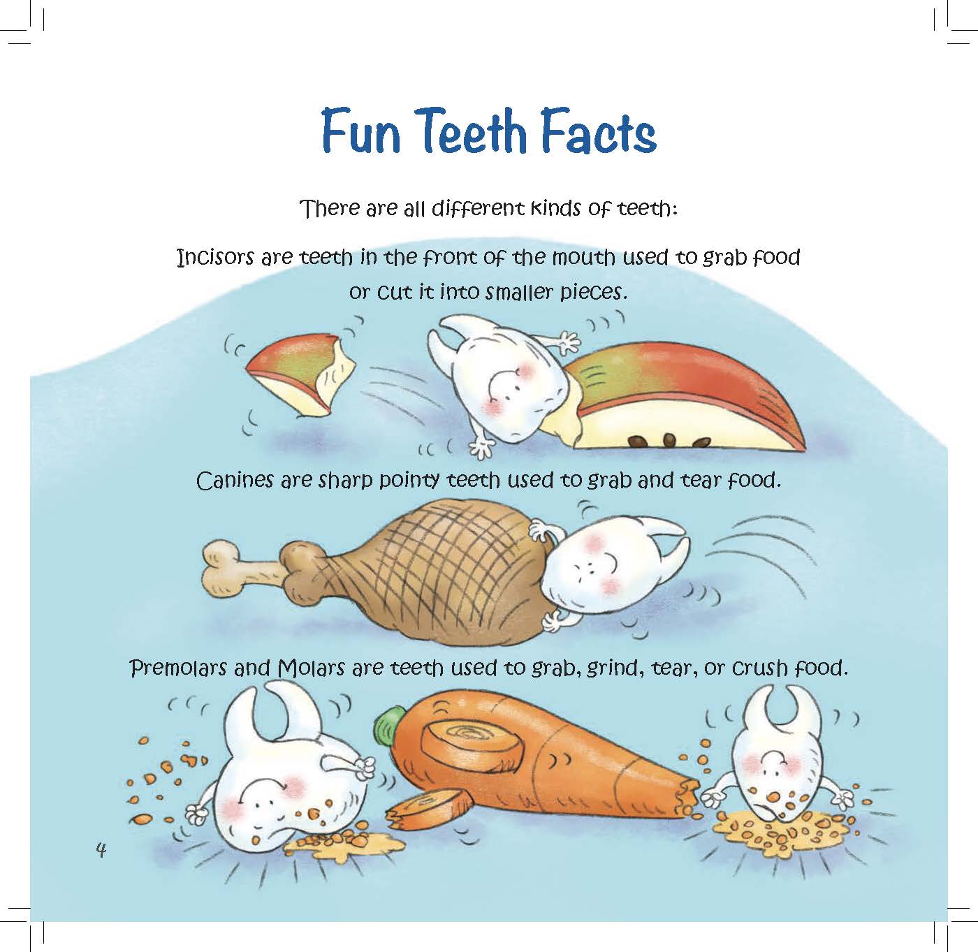 Cartoon teeth demonstrate how incisors, canines, premolars, and molars help animals bite, tear, and grind food.