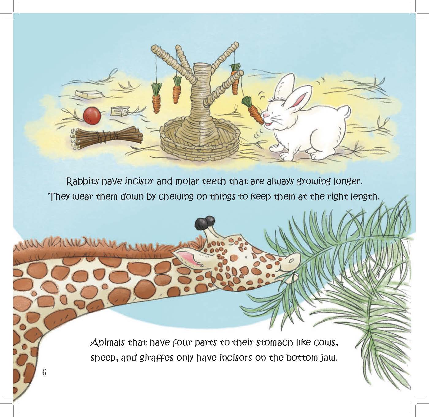 A rabbit gnaws on objects while a cow and giraffe show how some animals have continuously growing teeth or unusual tooth arrangements.