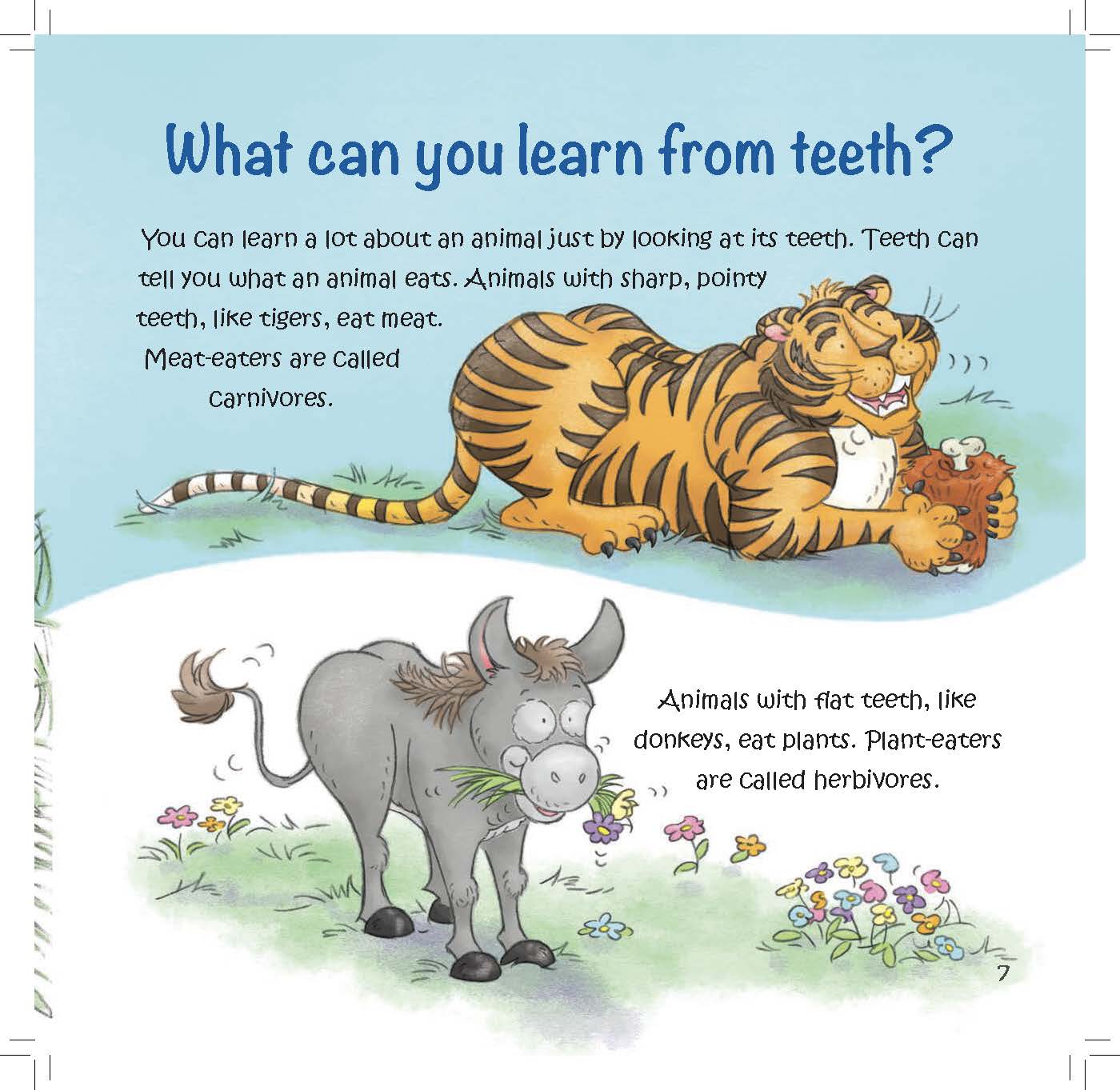 A tiger with sharp teeth and a donkey with flat teeth demonstrate how tooth shape reveals what an animal eats.