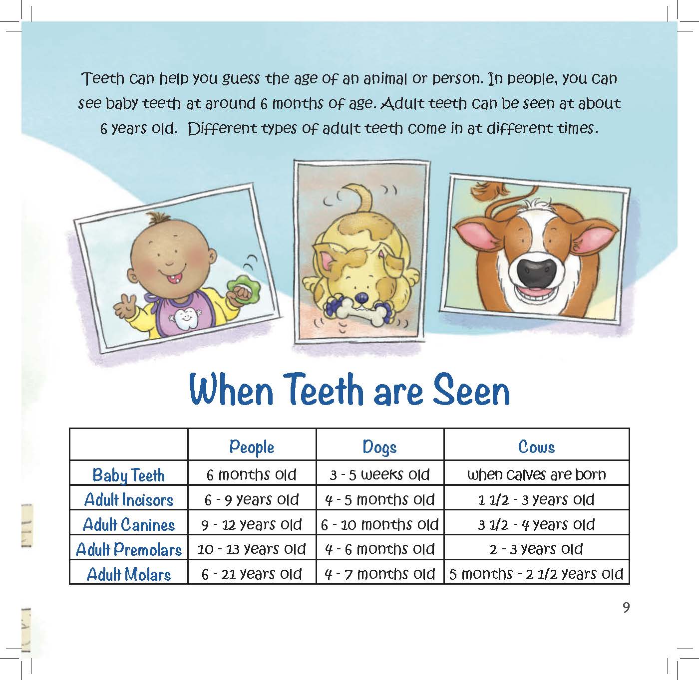 Pictures of a child, puppy, and calf accompany a chart showing when different animals get baby and adult teeth.