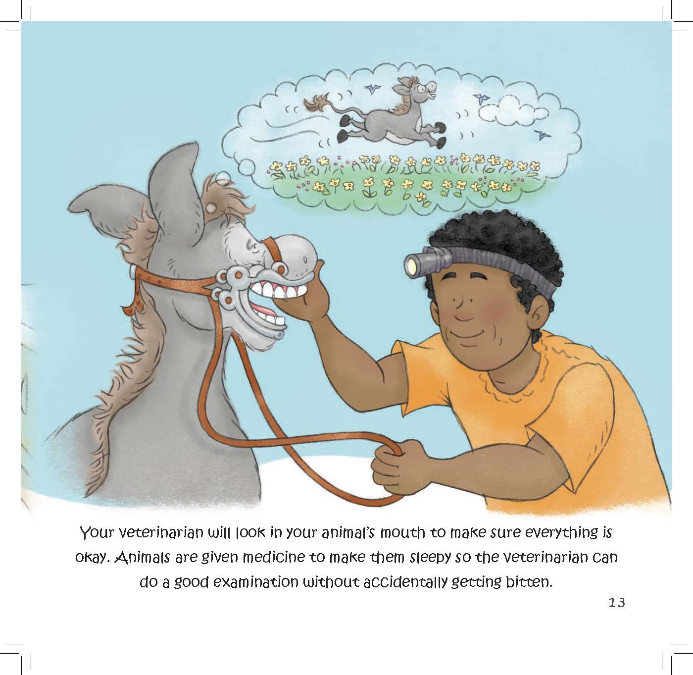 A veterinarian examines a donkey’s mouth while the donkey is safely sedated to prevent accidental biting.