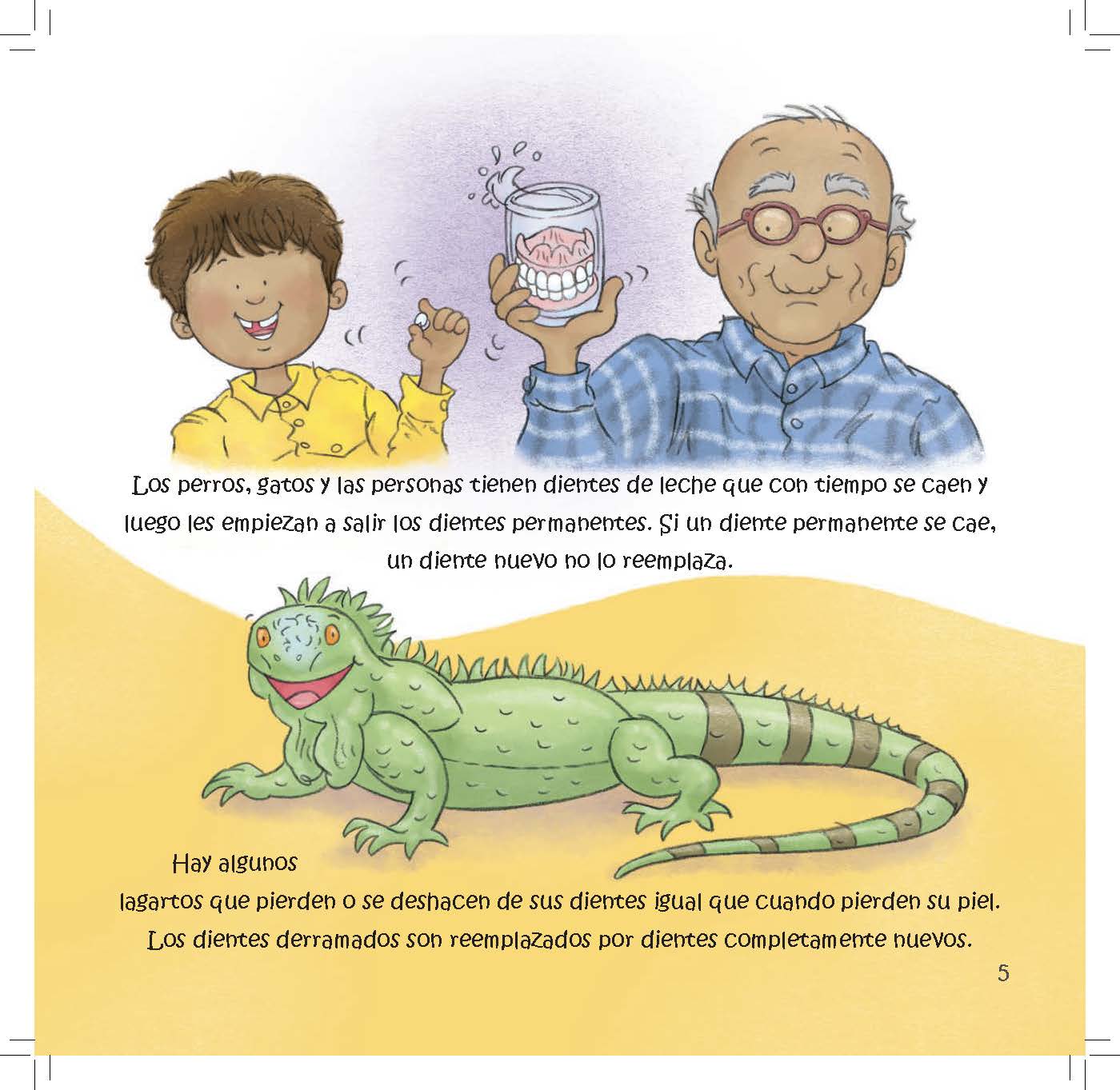 A boy holds a lost tooth while an iguana shows how some animals regrow teeth throughout life.