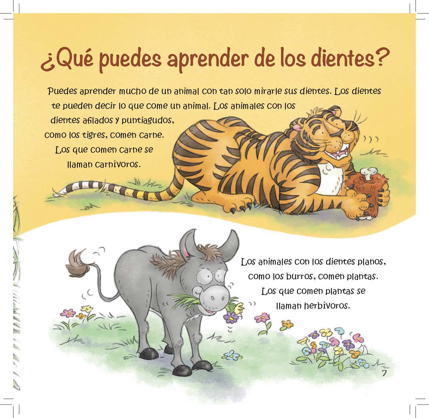 A tiger with sharp teeth and a donkey with flat teeth demonstrate how tooth shape reveals what an animal eats.