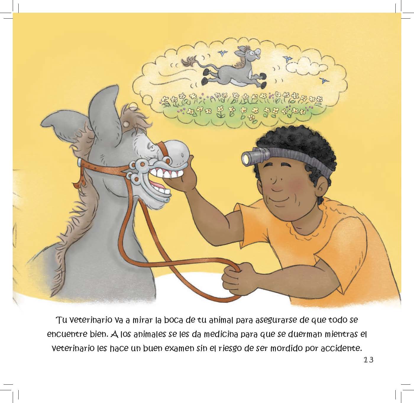 A veterinarian examines a donkey’s mouth while the donkey is safely sedated to prevent accidental biting.