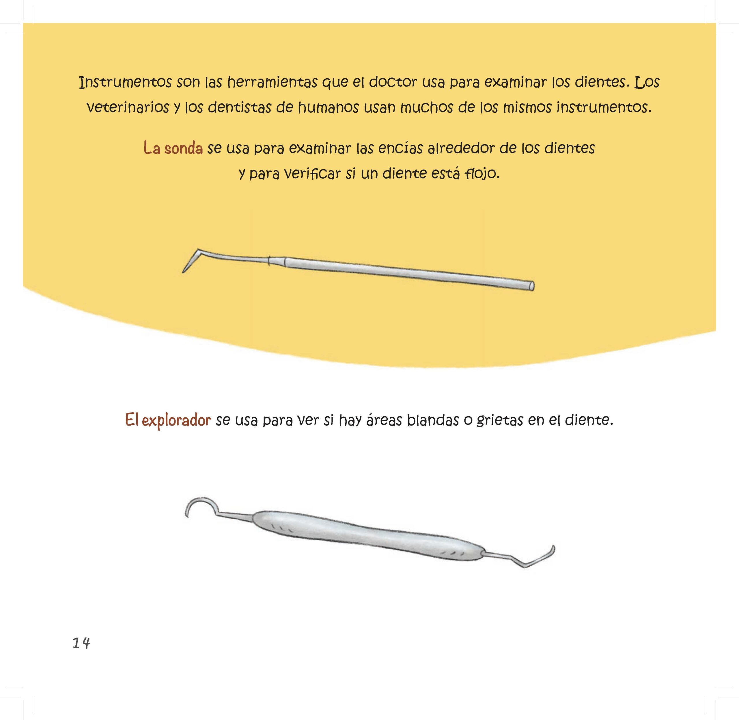 Illustrations show dental tools used by dentists and veterinarians to check gums and tooth surfaces.