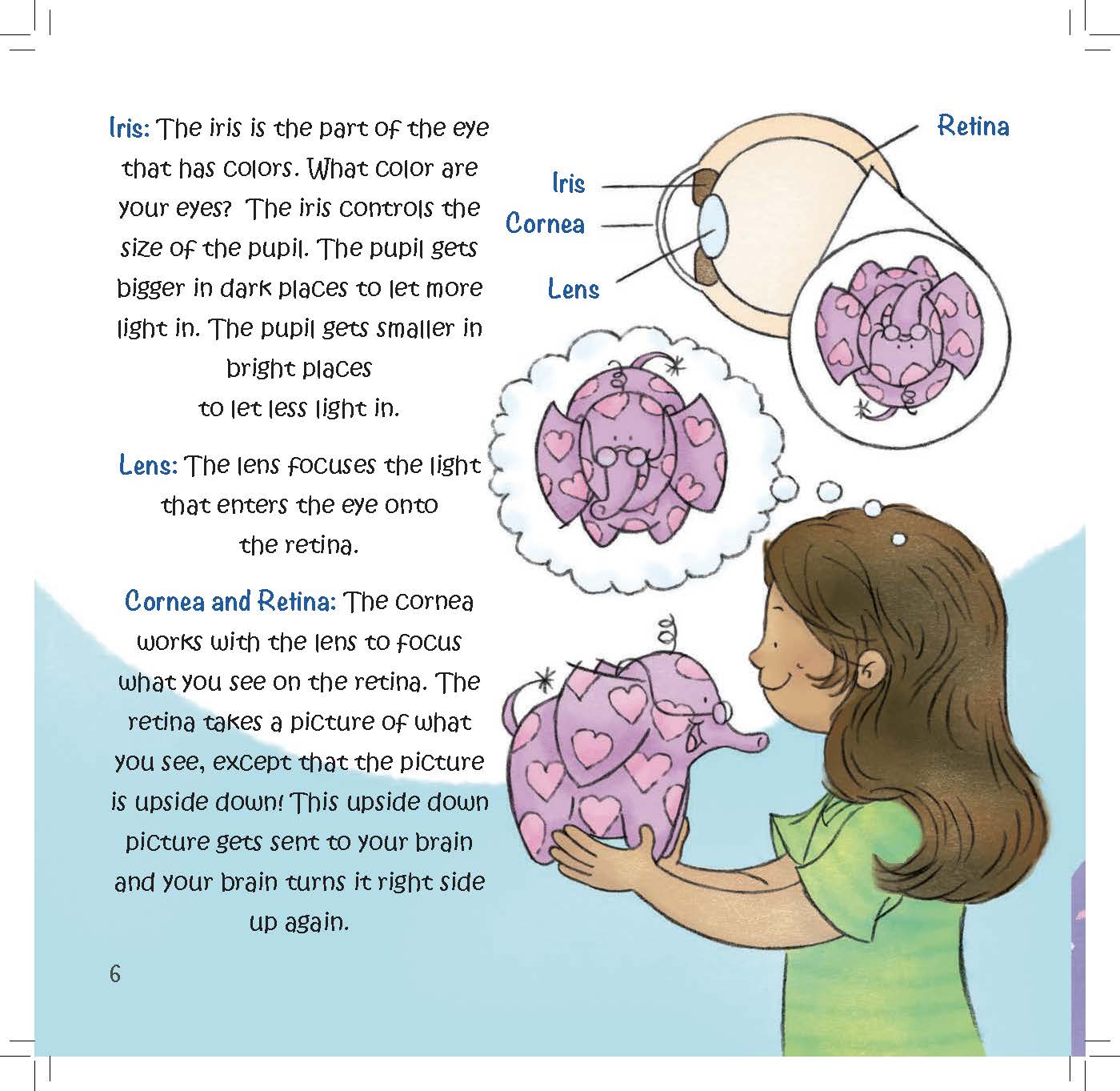 A labeled eye diagram explains how light enters the eye and is focused on the retina for the brain to process.