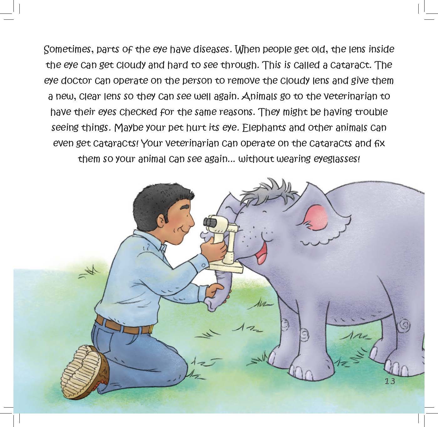 A veterinarian examines an elephant’s eye while text explains cataracts and how they can be treated