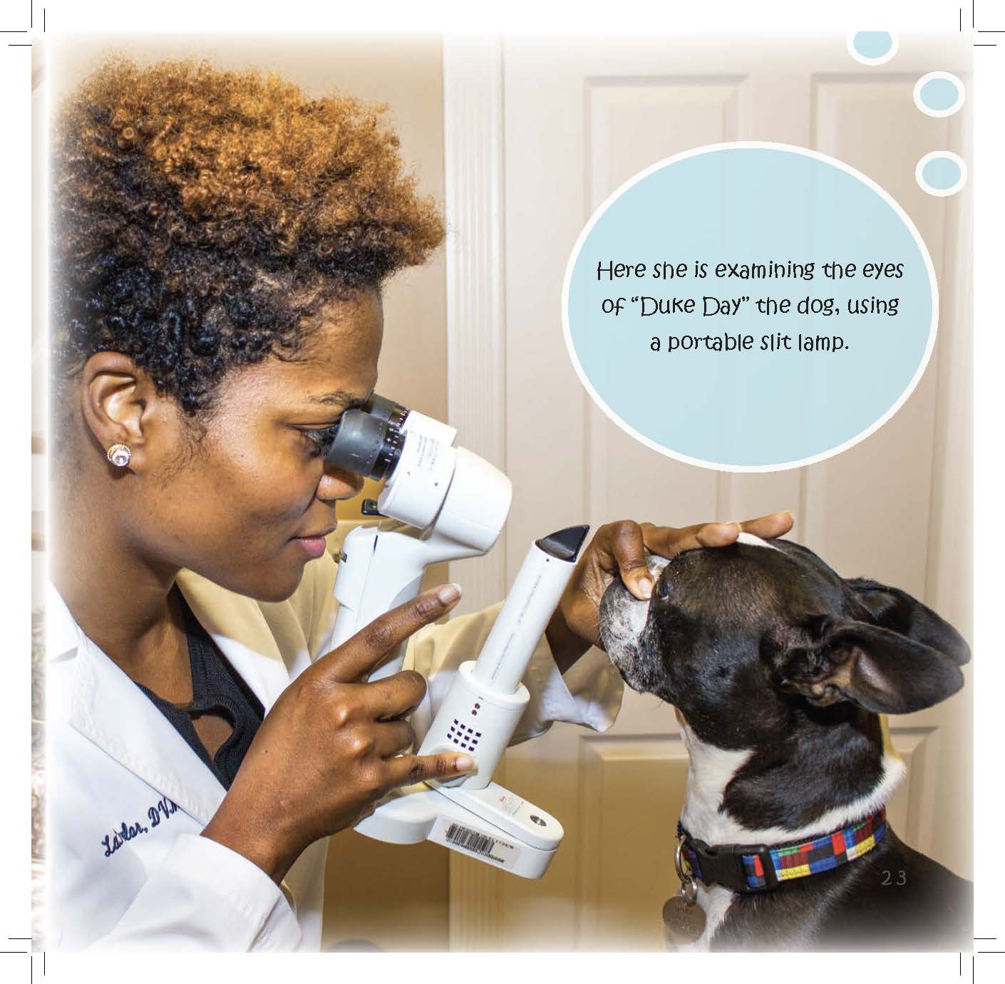 Dr. Taylor examines a dog’s eye using a portable slit lamp.