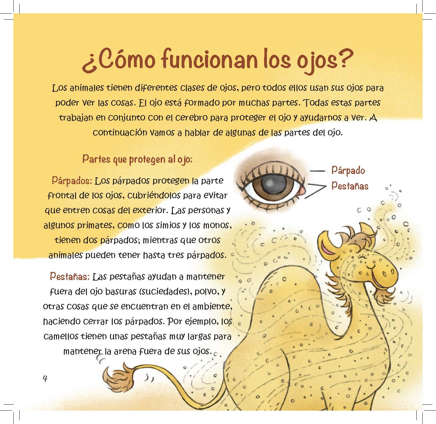 A camel and an eye diagram show how eyelids and eyelashes protect eyes from dust and debris.