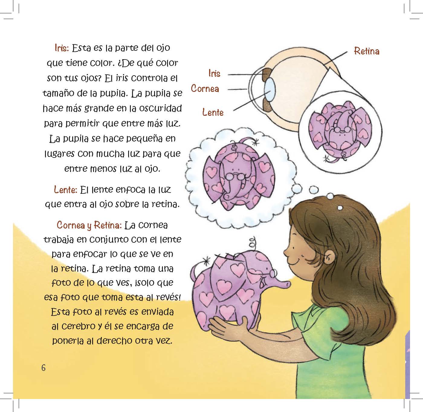 A labeled eye diagram explains how light enters the eye and is focused on the retina for the brain to process.