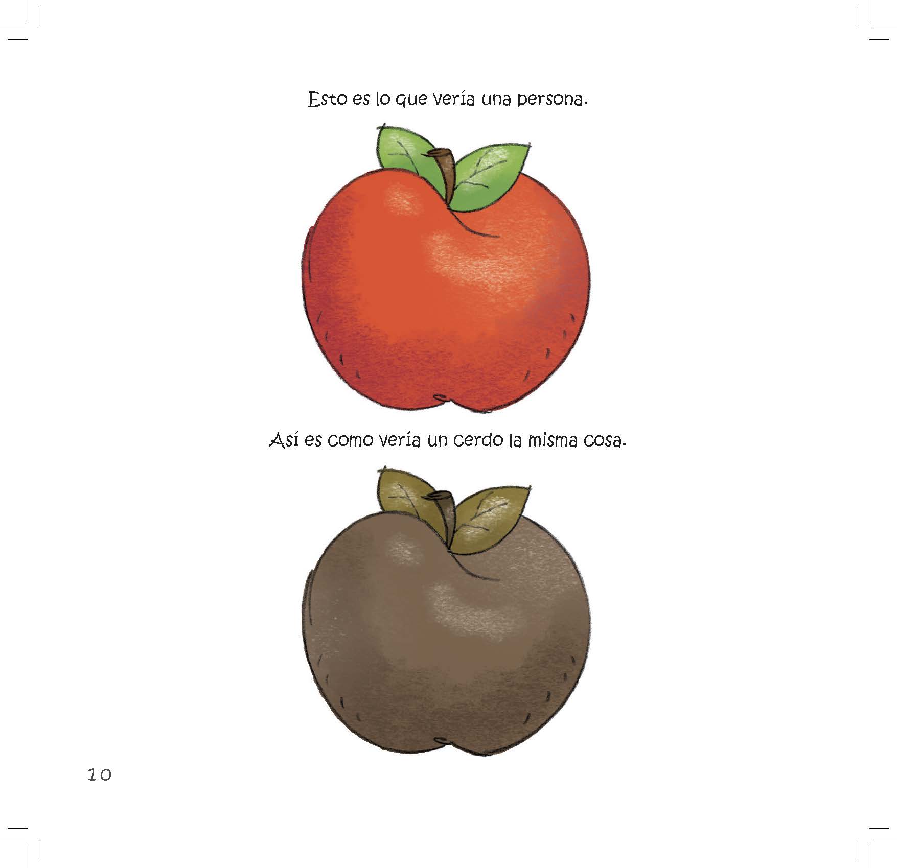 A bright red apple is shown next to a dull brown version to demonstrate how a pig might see it.