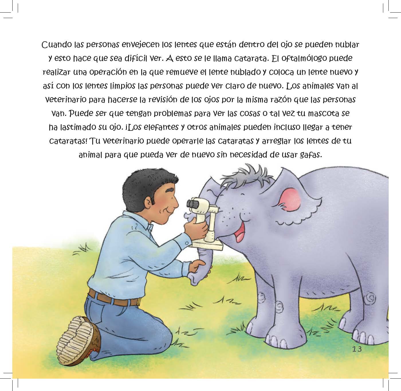 A veterinarian examines an elephant’s eye while text explains cataracts and how they can be treated.