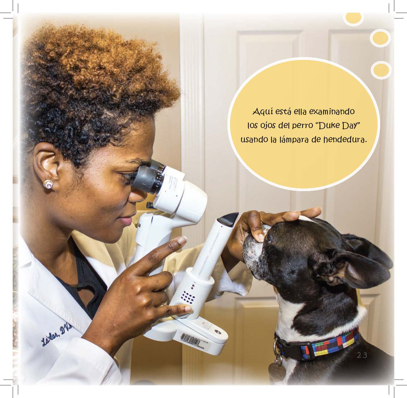 Dr. Taylor examines a dog’s eye using a portable slit lamp.