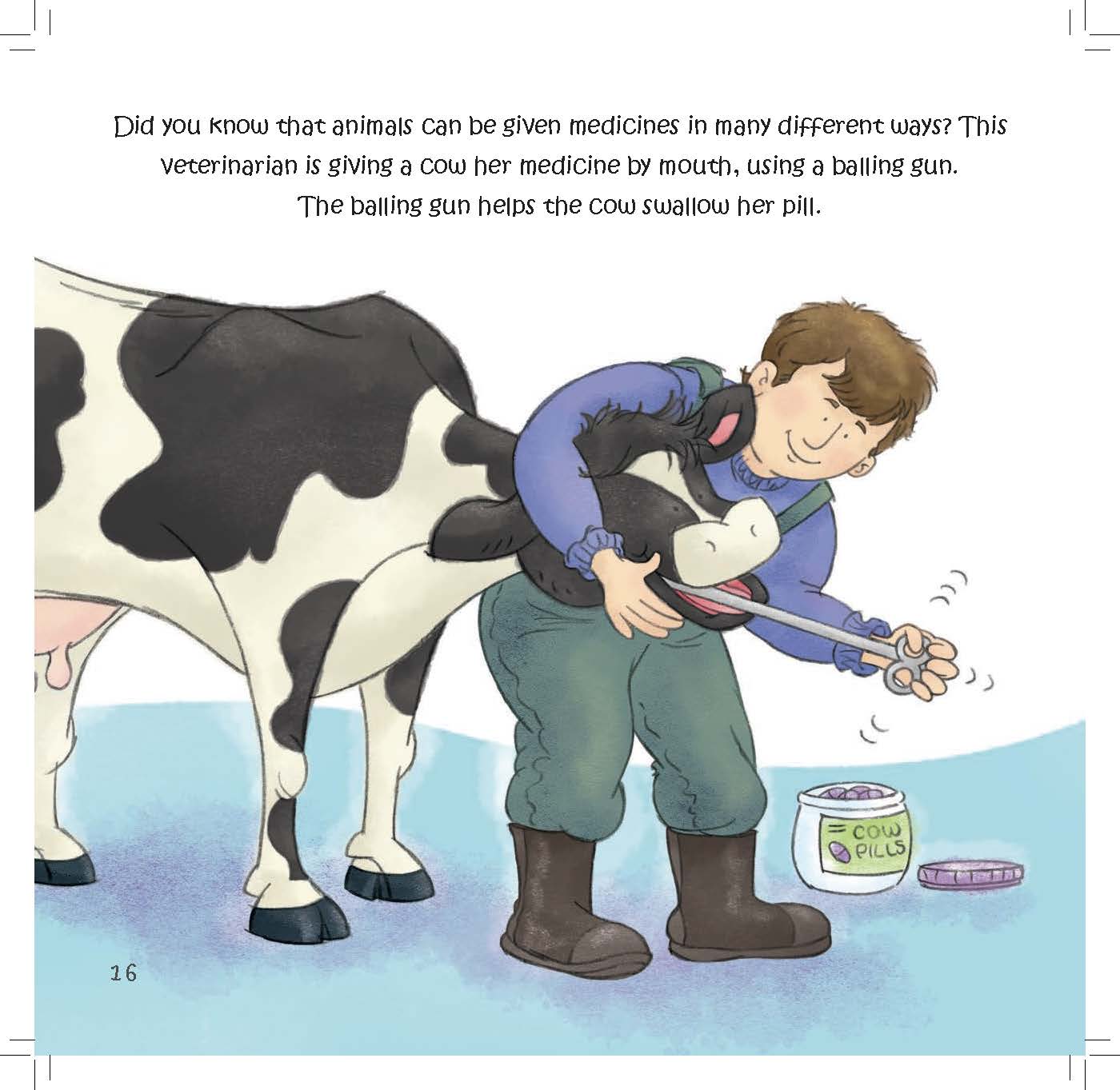 A veterinarian gives a cow medicine by mouth using a balling gun.