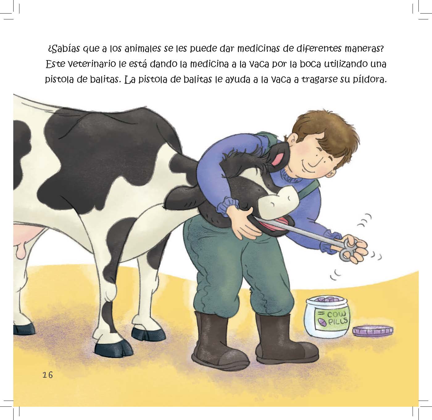 A veterinarian gives a cow medicine by mouth using a balling gun.