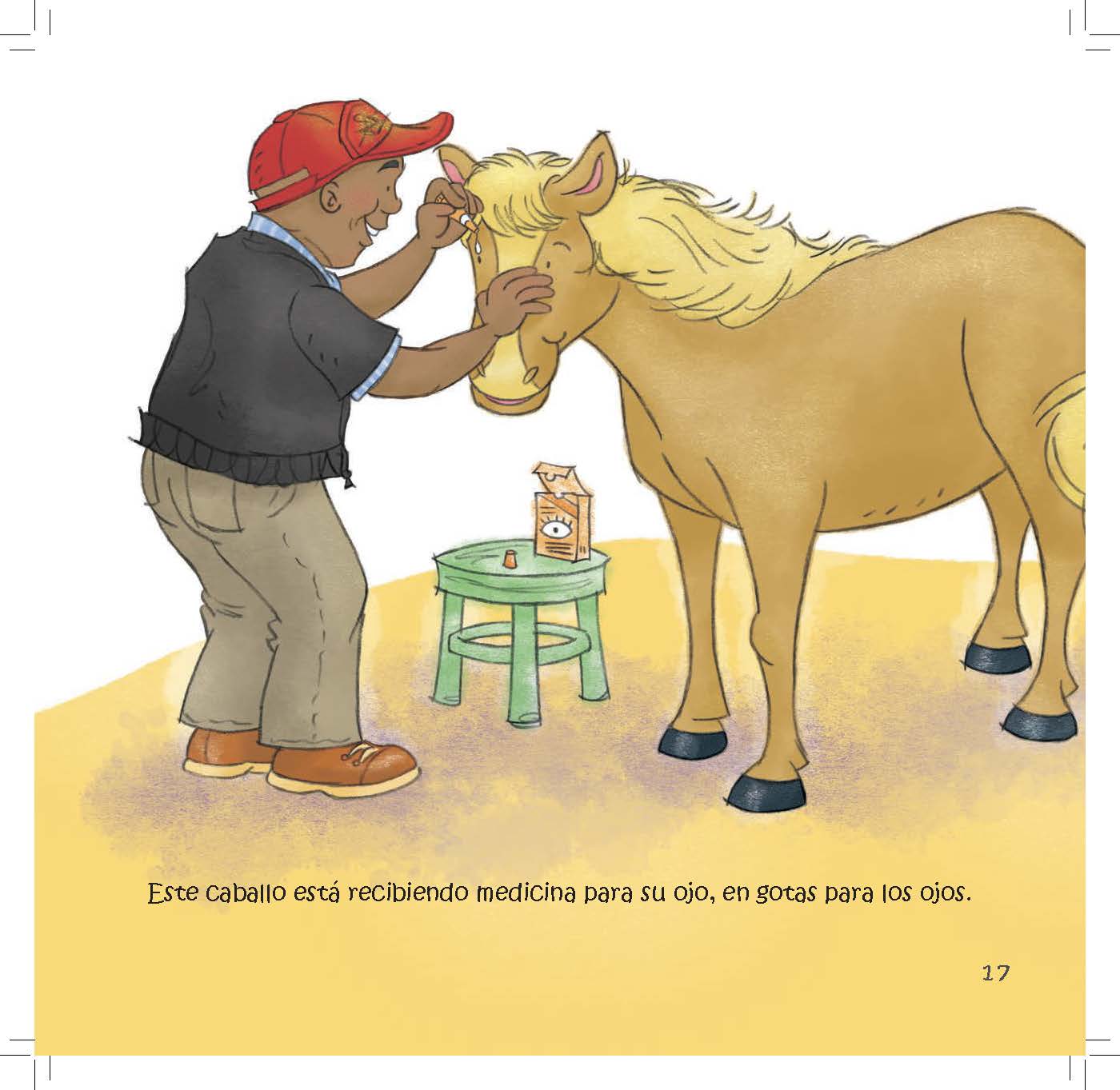 A man administers eye drops to a horse that is receiving treatment