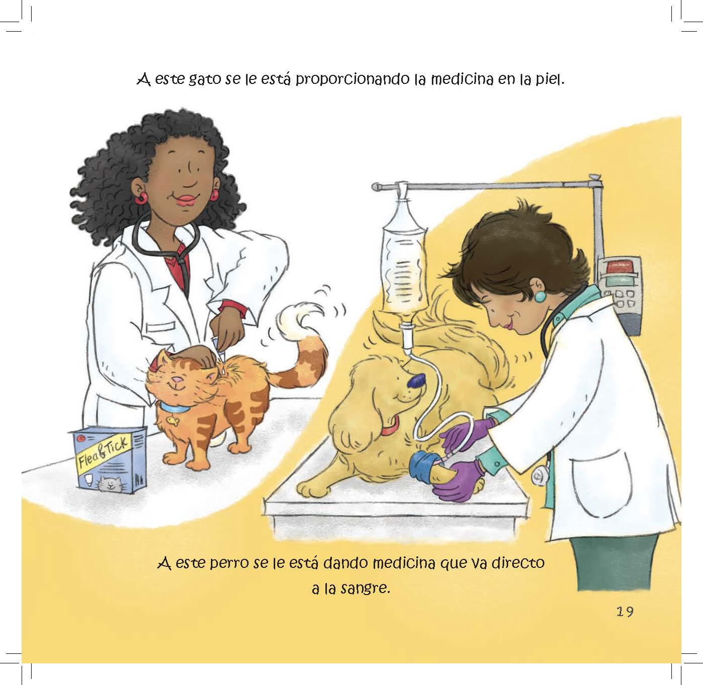 A veterinarian applies medicine to a cat’s skin while another treats a dog with intravenous medicine.