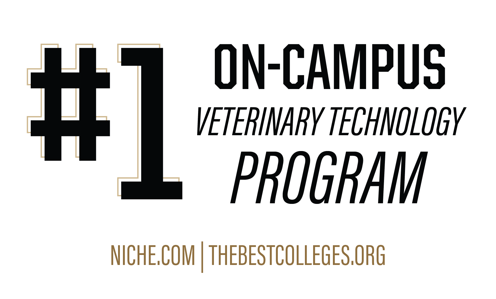 Ranked the #1 On-Campus Veterinary Technology Program by niche.com and thebestcolleges.org