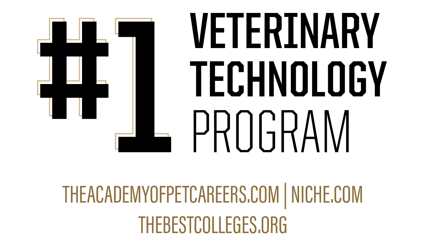 Ranked the #1 Veterinary Technology Program by theacademyofpetcareers.com, niche.com, and thebestcolleges.org