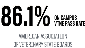86.1% on-campus program vtne pass rate