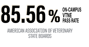 85.56% on-campus program vtne pass rate
